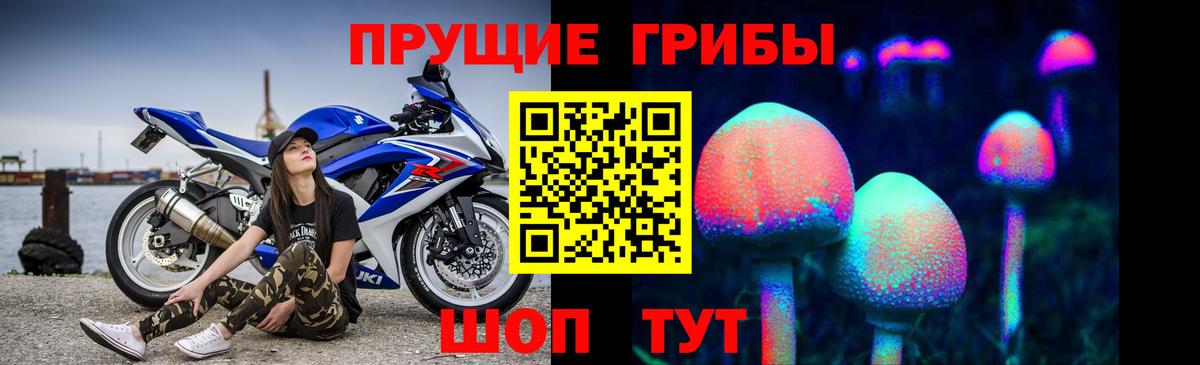 Галлюциногенные грибы Psilocybine cubensis Озёрск